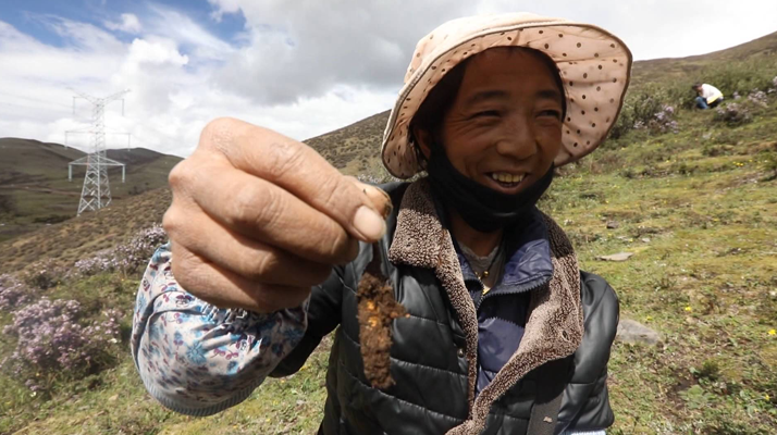 24厚羽毛球館木地板怎么翻新？