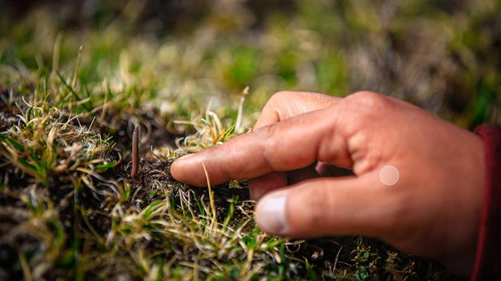 學校舞臺木地板雙層龍骨結構