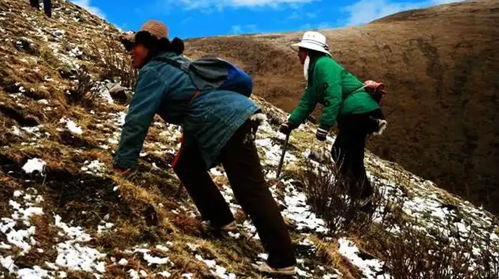 專業(yè)的乒乓球館木地板安裝工藝