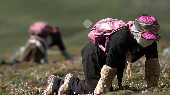 學(xué)校籃球運動地板雙層龍骨結(jié)構(gòu)