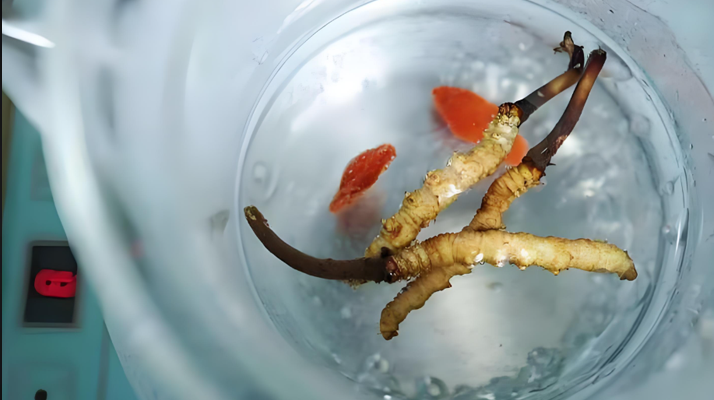 專用體育運(yùn)動地板廠家報價