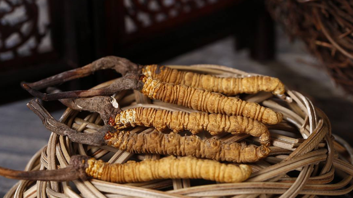 五角楓體育木地板哪個品牌好？