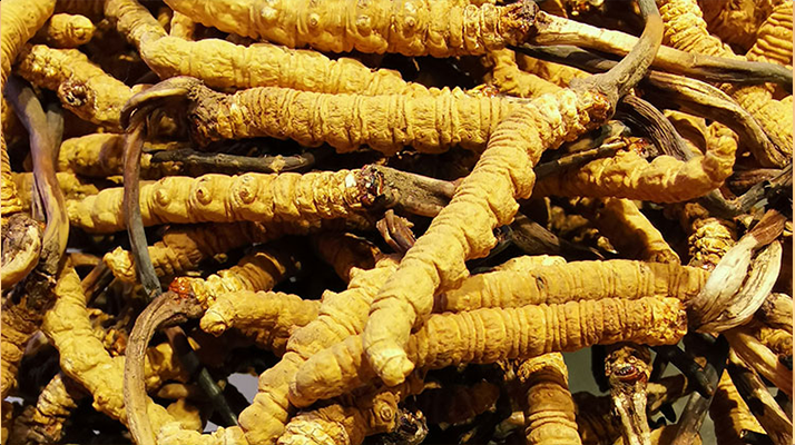 烏魯木齊楓木體育木地板翻新