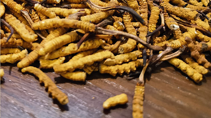 22厚運動體育地板每平米價格