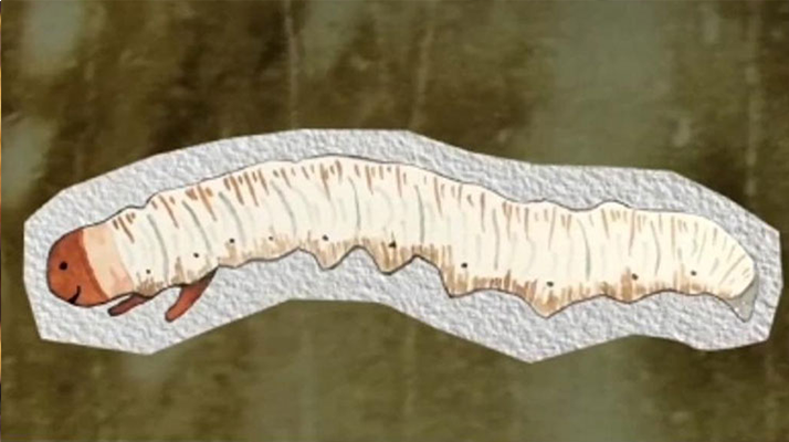 楓木舞臺實木地板造價