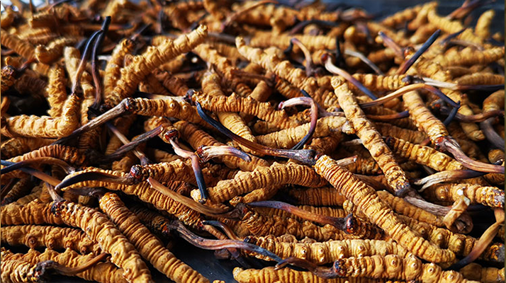 常見的舞臺木地板厚度