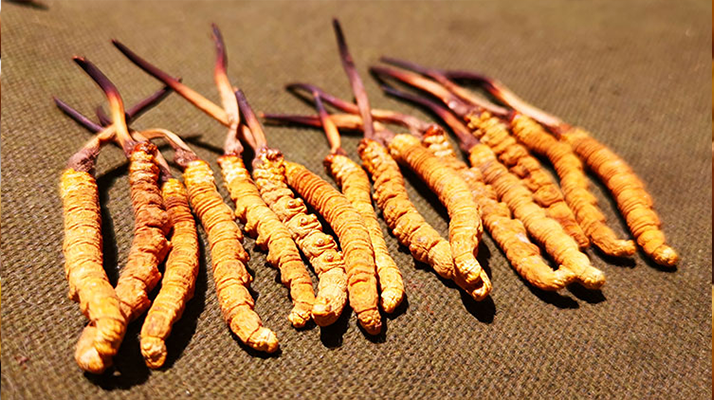 武漢企口體育木地板公司