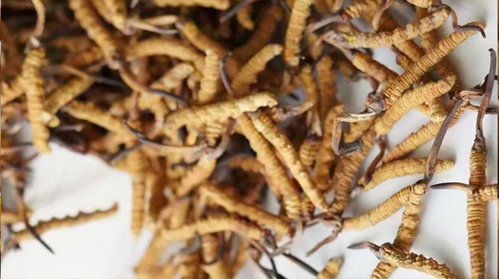 上海專業(yè)體育木地板工廠