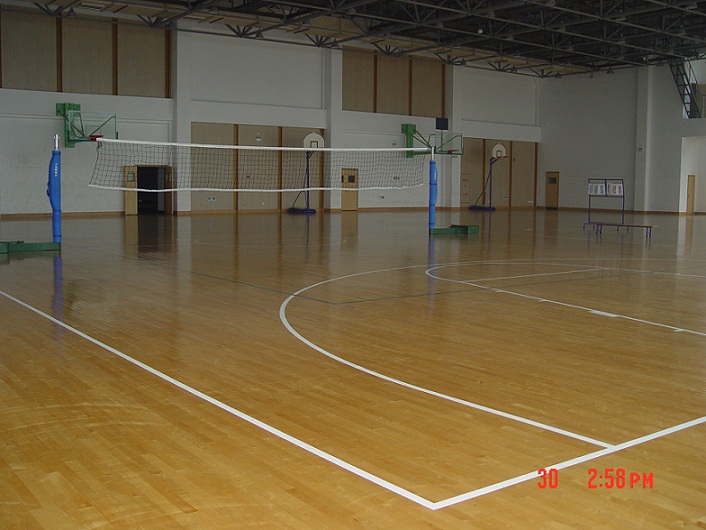 體育地板 體育地板